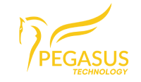 Pegasus Technology